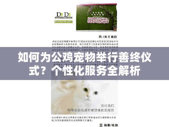 如何为公鸡宠物举行善终仪式？个性化服务全解析