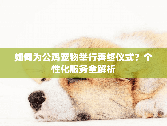 如何为公鸡宠物举行善终仪式？个性化服务全解析