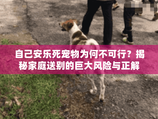 揭秘家庭送别的巨大风险与正解图片