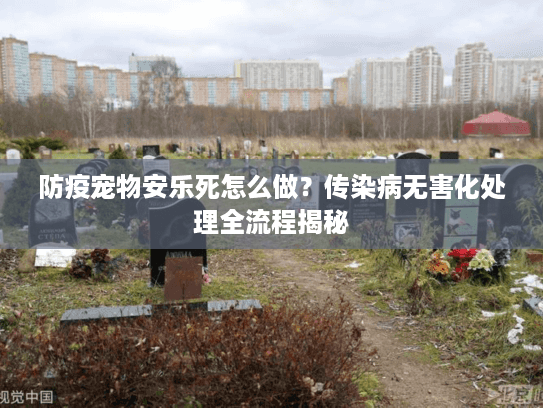 防疫宠物安乐死怎么做？传染病无害化处理全流程揭秘
