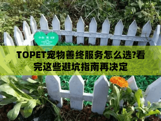 TOPET宠物善终服务怎么选?看完这些避坑指南再决定