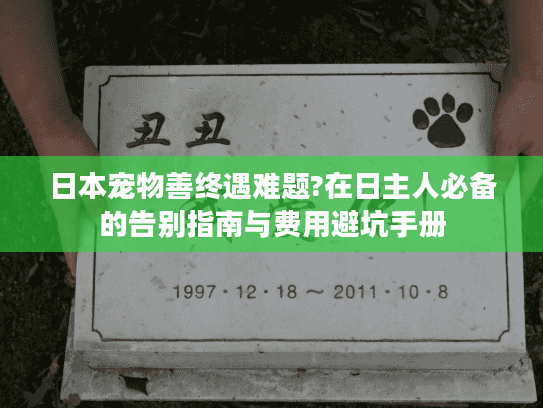 日本宠物善终遇难题?在日主人必备的告别指南与费用避坑手册