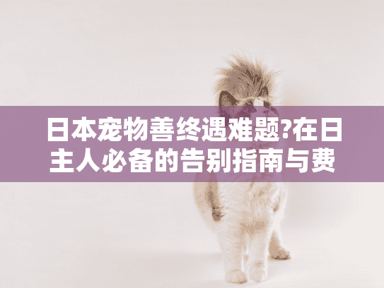 日本宠物善终遇难题?在日主人必备的告别指南与费用避坑手册