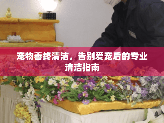 宠物善终清洁，告别爱宠后的专业清洁指南