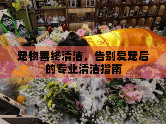 宠物善终清洁，告别爱宠后的专业清洁指南
