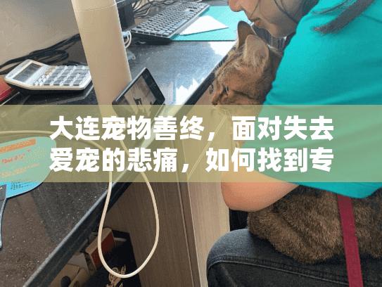 大连宠物善终，面对失去爱宠的悲痛，如何找到专业可靠的服务？