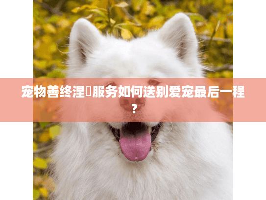 宠物善终涅槃服务如何送别爱宠最后一程？