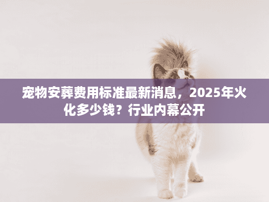 宠物安葬费用标准最新消息图片