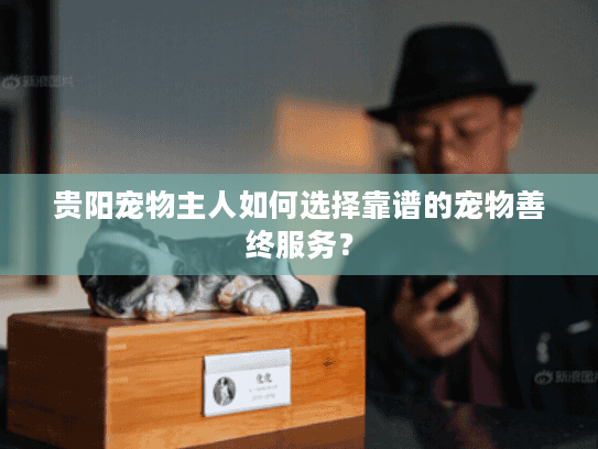 贵阳宠物主人如何选择靠谱的宠物善终服务？