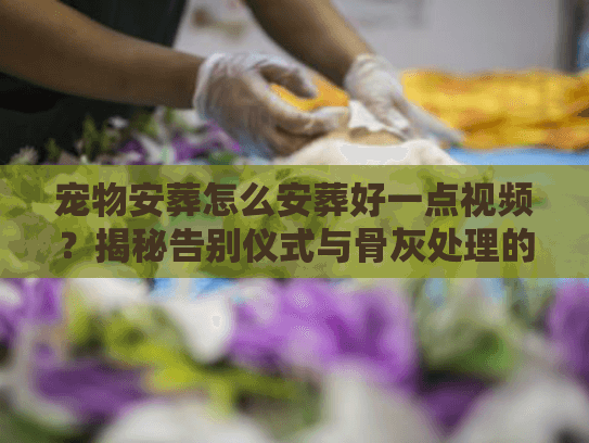 宠物安葬怎么安葬好一点视频？揭秘告别仪式与骨灰处理的视频级全流程