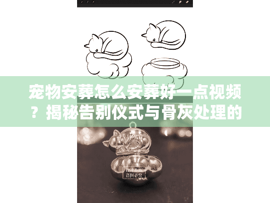 宠物安葬怎么安葬好一点视频？揭秘告别仪式与骨灰处理的视频级全流程