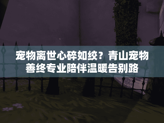 宠物离世心碎如绞？青山宠物善终专业陪伴温暖告别路