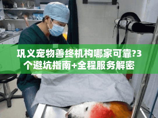 巩义宠物善终机构哪家可靠?3个避坑指南+全程服务解密