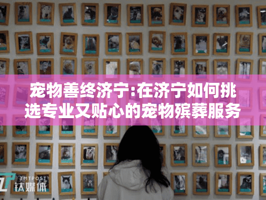 宠物善终济宁:在济宁如何挑选专业又贴心的宠物殡葬服务?