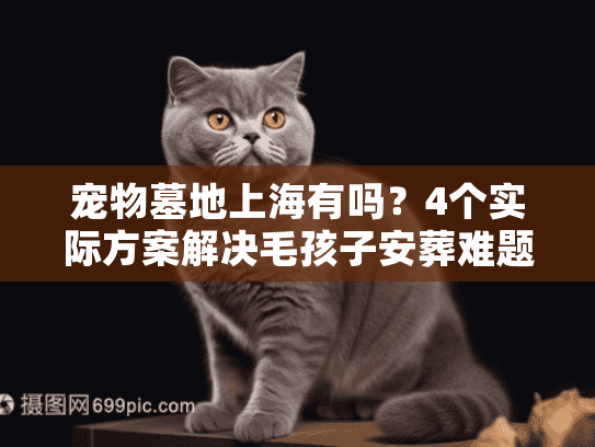 宠物墓地上海有吗？4个实际方案解决毛孩子安葬难题
