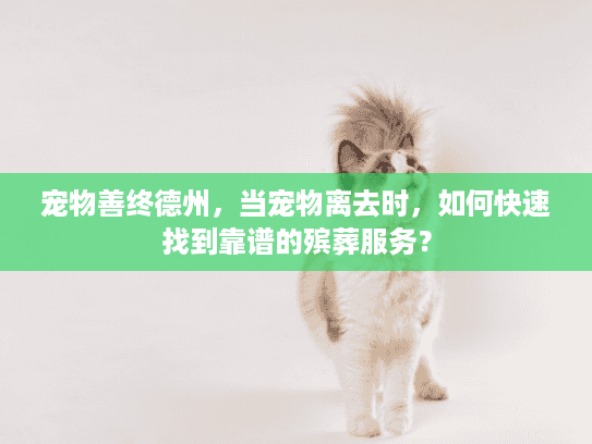 宠物善终德州，当宠物离去时，如何快速找到靠谱的殡葬服务？