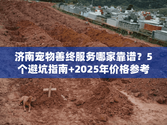 济南宠物善终服务哪家靠谱？5个避坑指南+2025年价格参考