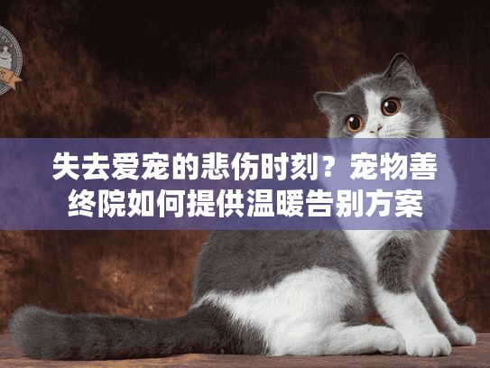 失去爱宠的悲伤时刻？宠物善终院如何提供温暖告别方案