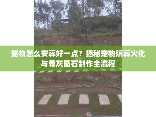 宠物怎么安葬好一点?揭秘宠物殡葬火化与骨灰晶石制作全流程 宠物怎么安葬好一点?揭秘宠物殡葬火化与骨灰晶石制作全流程