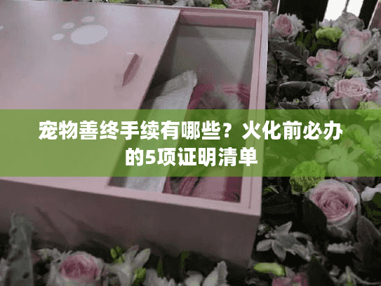 宠物善终手续有哪些？火化前必办的5项证明清单