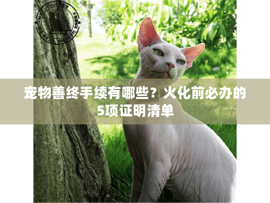 宠物善终手续有哪些？火化前必办的5项证明清单