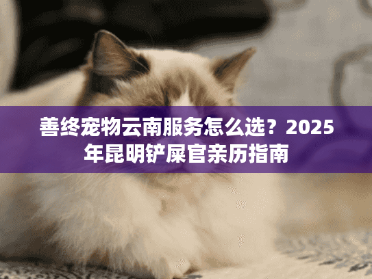 善终宠物云南服务怎么选？2025年昆明铲屎官亲历指南
