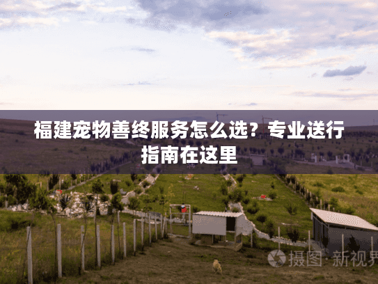 福建宠物善终服务怎么选？专业送行指南在这里