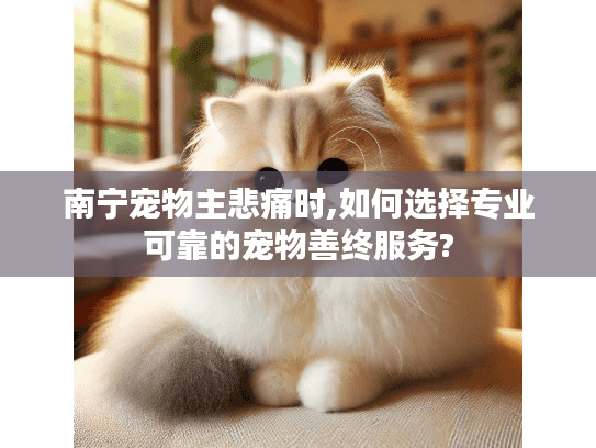 南宁宠物主悲痛时,如何选择专业可靠的宠物善终服务?