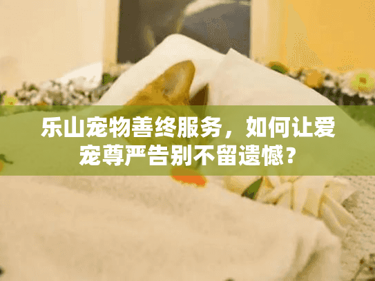 乐山宠物善终服务，如何让爱宠尊严告别不留遗憾？