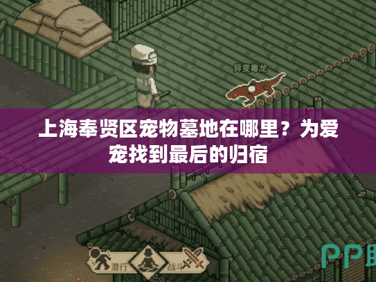 上海奉贤区宠物墓地在哪里？为爱宠找到最后的归宿