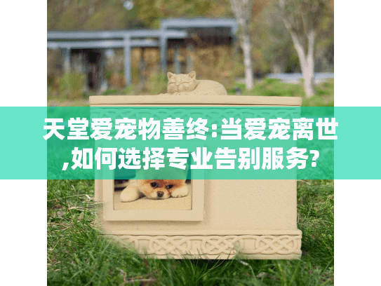 天堂爱宠物善终:当爱宠离世,如何选择专业告别服务?