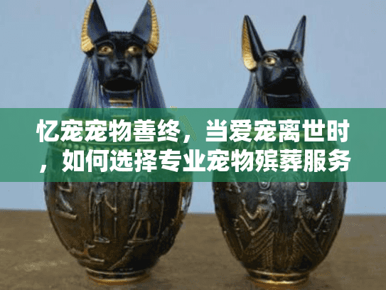 忆宠宠物善终，当爱宠离世时，如何选择专业宠物殡葬服务？