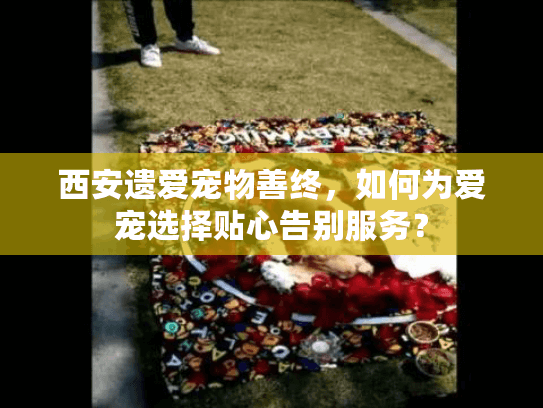 西安遗爱宠物善终，如何为爱宠选择贴心告别服务？