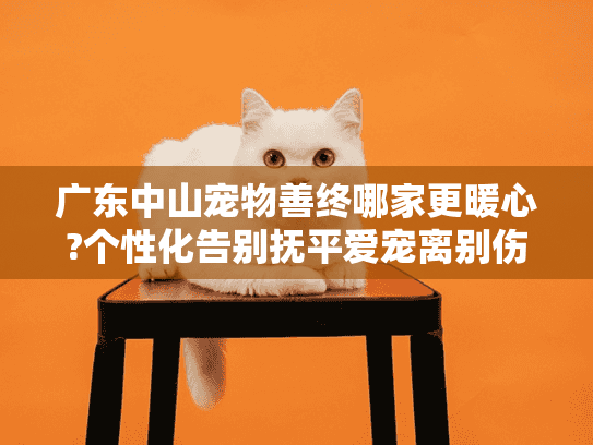 广东中山宠物善终哪家更暖心?个性化告别抚平爱宠离别伤痛