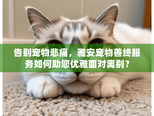 告别宠物悲痛，雅安宠物善终服务如何助您优雅面对离别？