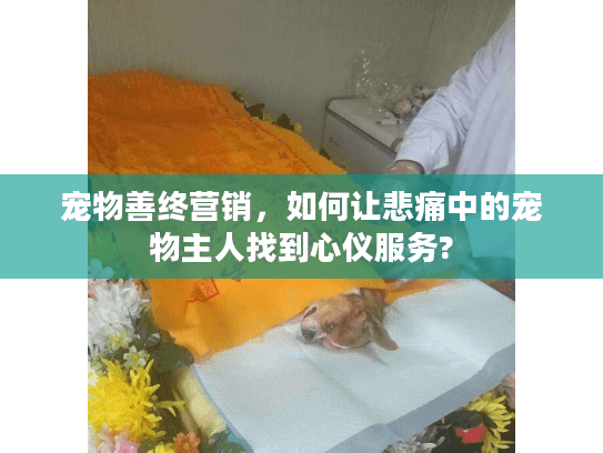 宠物善终营销，如何让悲痛中的宠物主人找到心仪服务?