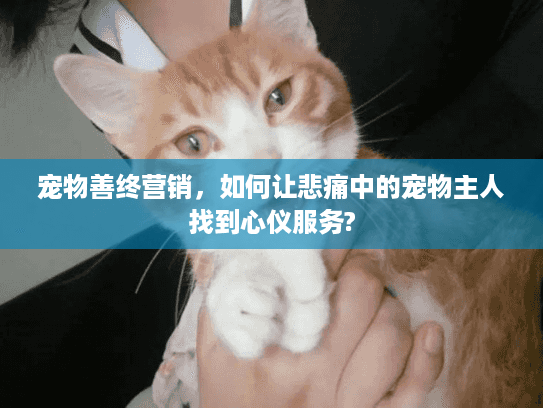 宠物善终营销，如何让悲痛中的宠物主人找到心仪服务?