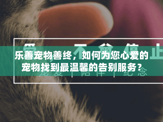 乐善宠物善终，如何为您心爱的宠物找到最温馨的告别服务？