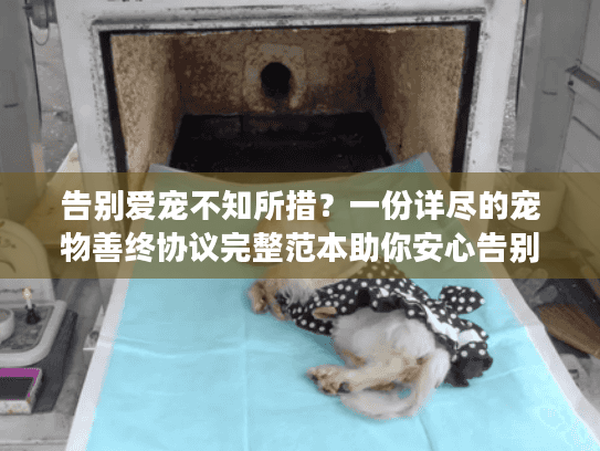 告别爱宠不知所措？一份详尽的宠物善终协议完整范本助你安心告别