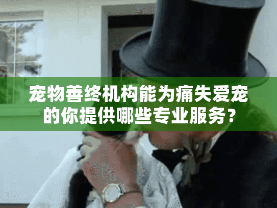 宠物善终机构能为痛失爱宠的你提供哪些专业服务？