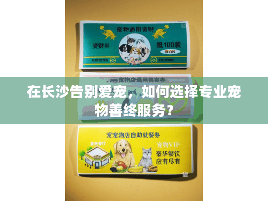 在长沙告别爱宠，如何选择专业宠物善终服务？