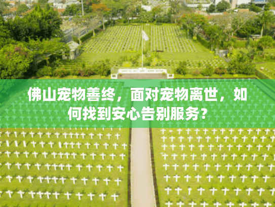 佛山宠物善终，面对宠物离世，如何找到安心告别服务？
