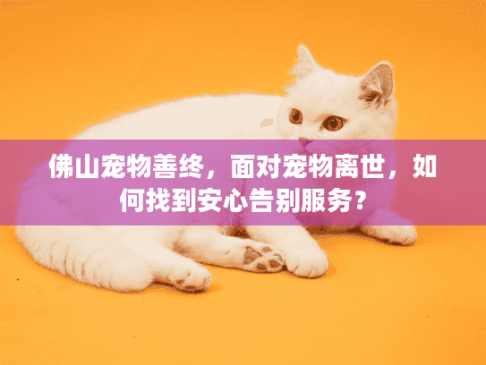 佛山宠物善终，面对宠物离世，如何找到安心告别服务？