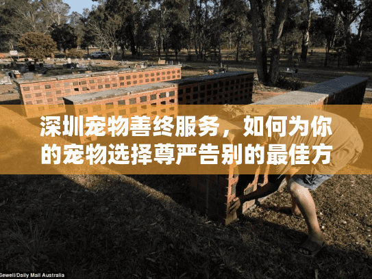 深圳宠物善终服务，如何为你的宠物选择尊严告别的最佳方案？