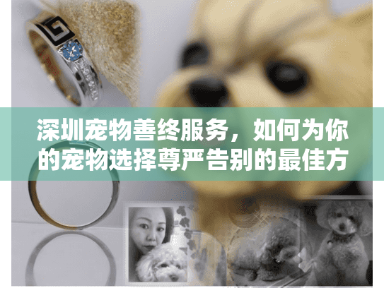 深圳宠物善终服务，如何为你的宠物选择尊严告别的最佳方案？