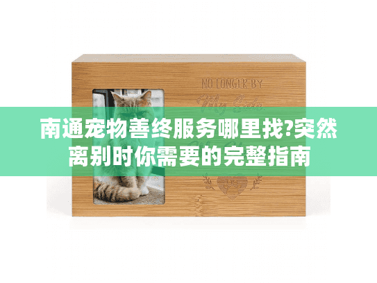 南通宠物善终服务哪里找?突然离别时你需要的完整指南