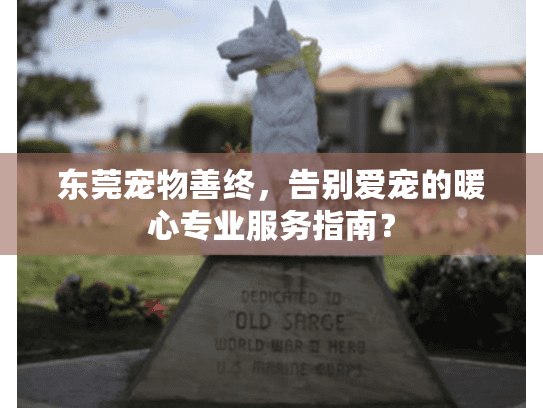 东莞宠物善终，告别爱宠的暖心专业服务指南？