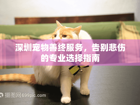深圳宠物善终服务，告别悲伤的专业选择指南