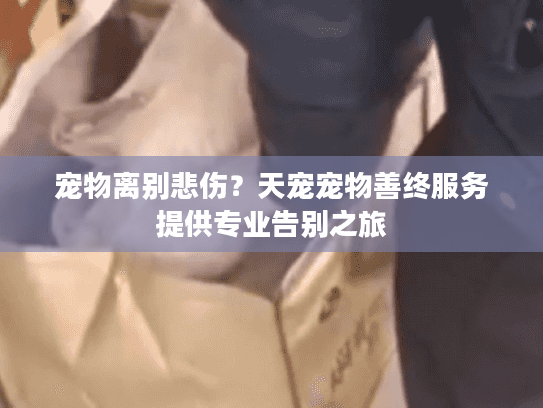 宠物离别悲伤？天宠宠物善终服务提供专业告别之旅