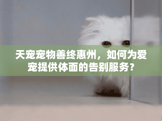 天宠宠物善终惠州，如何为爱宠提供体面的告别服务？